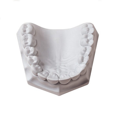 Orthodontic Super-White Dental Stone